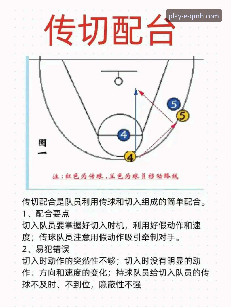 球盟会体育入门实用指南：新手必看的选择与对比技巧